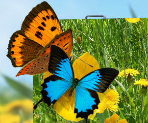 酷游九州小间距LED显示屏的魅力所在